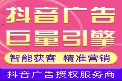SEM托管公司案例分析：数据驱动决策